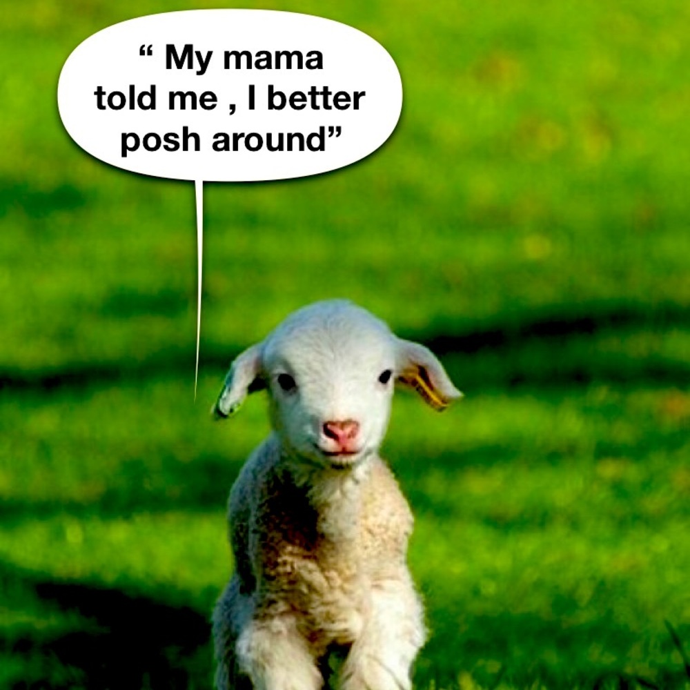 Meet your Posher, Vincent